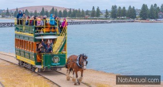VICTOR HARBOR, AUSTRALIA, JANUARY 5, 2020: Horse drawn tram on a