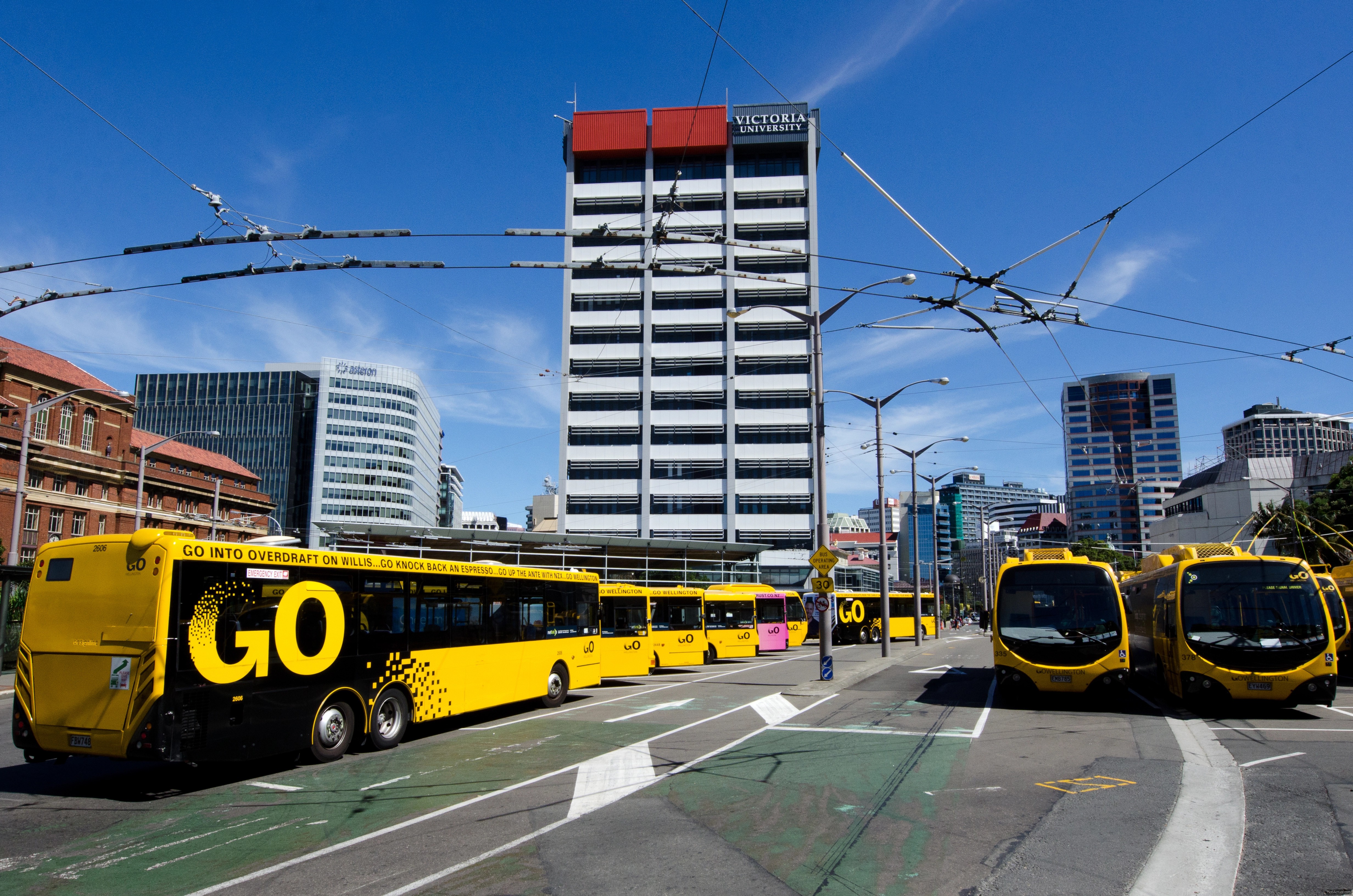 wellington New Zeland