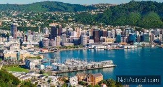 wellington New Zeland