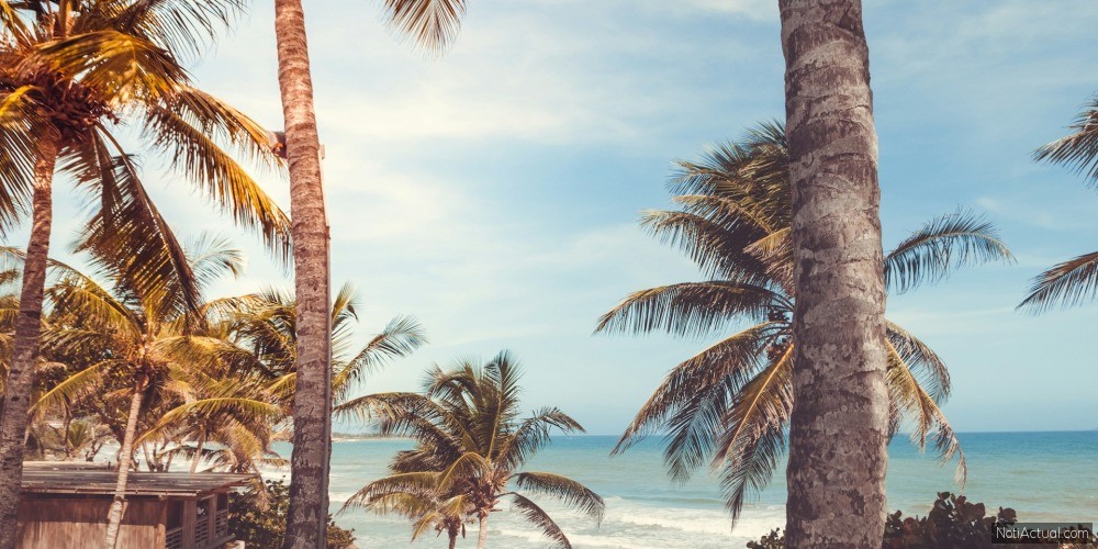 Margarita El Corazón del Caribe Venezolano entre Playas y Castillos