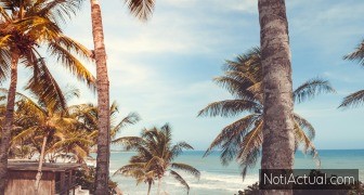 Margarita El Corazón del Caribe Venezolano entre Playas y Castillos