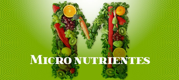 La importancia de los macro y micronutrientes en la nutrición