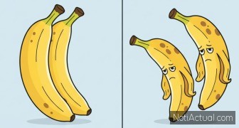 Insólitas curiosidades sobre el Sexo