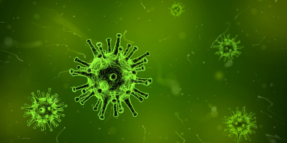 PANDEMIA GLOBAL VIRUS