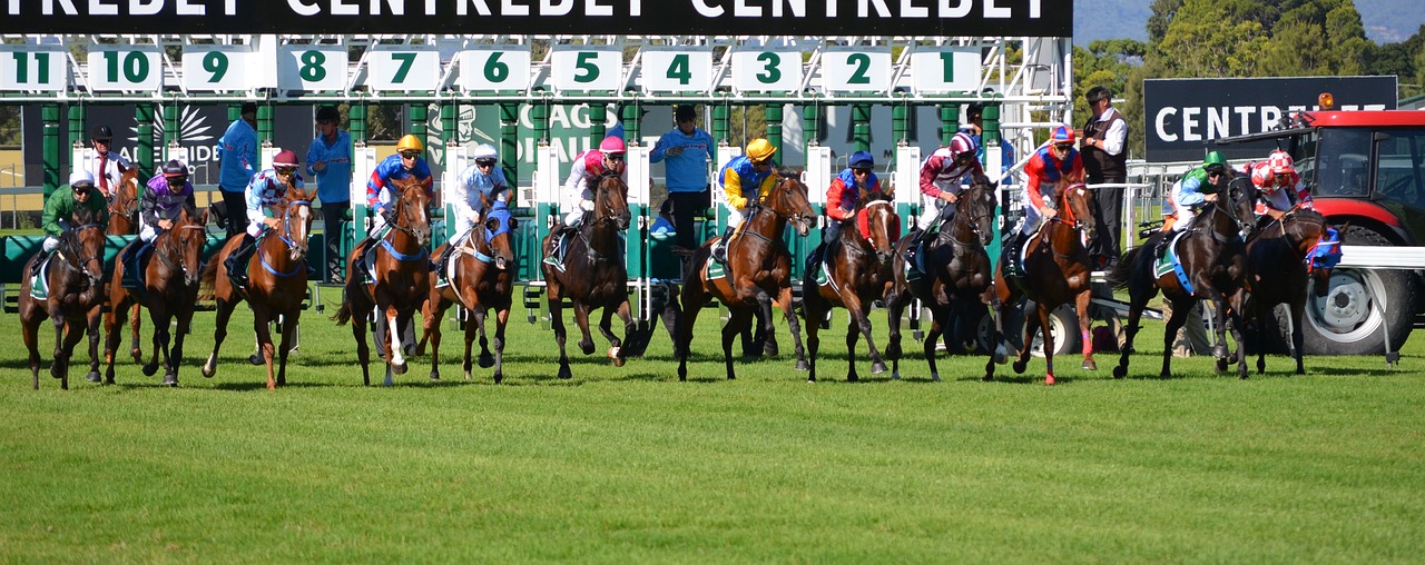 Apuestas deportivas hipismo