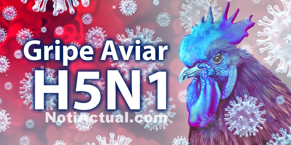 Gripe Aviar H5N1