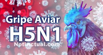 Gripe Aviar H5N1