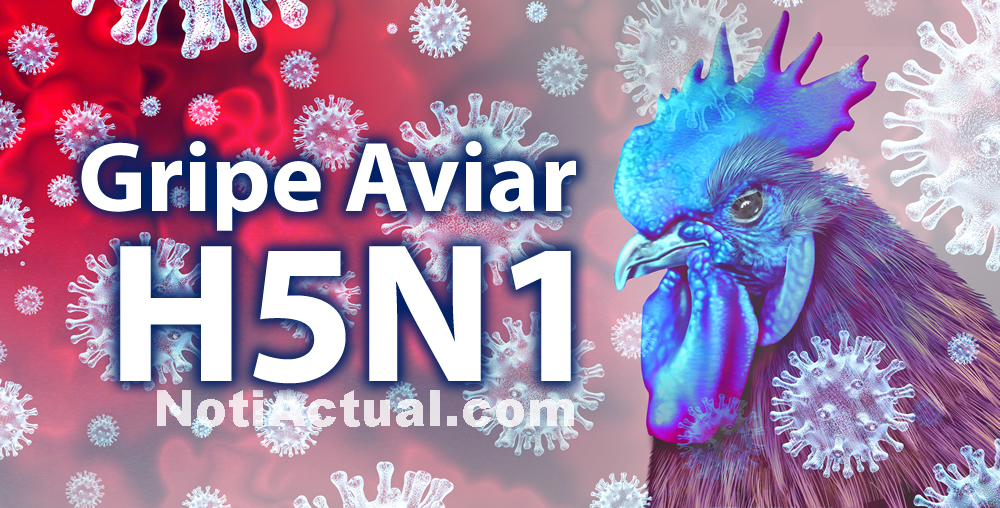 Gripe Aviar H5N1