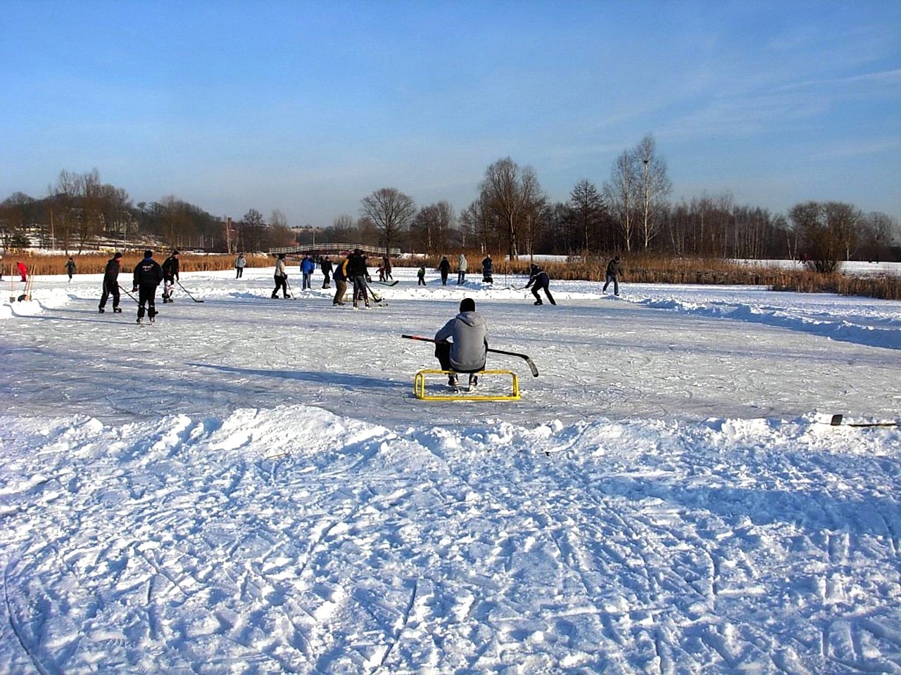 Hockey sobre hielo