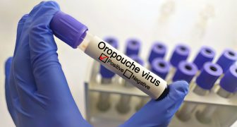 Virus Oropouche en Región de las Américas