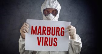 Que es El virus de Marburgo