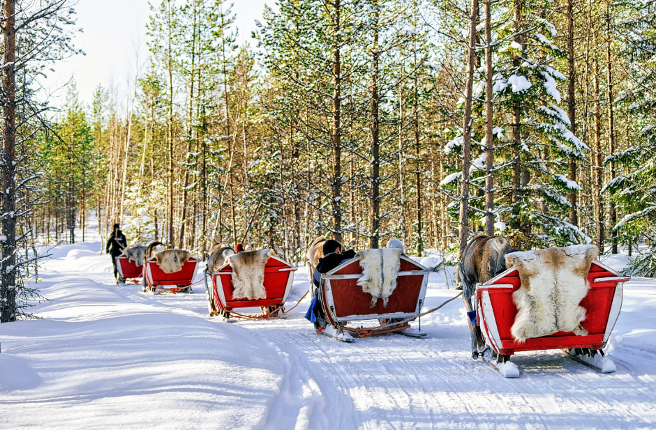 Trineos en Rovaniemi, Finlandia