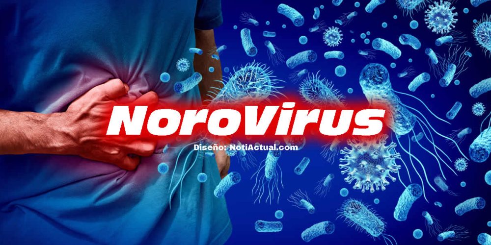 norovirus