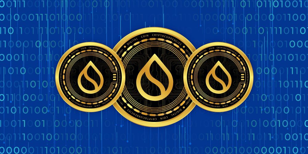 Tutorial sobre la criptomoneda Sui