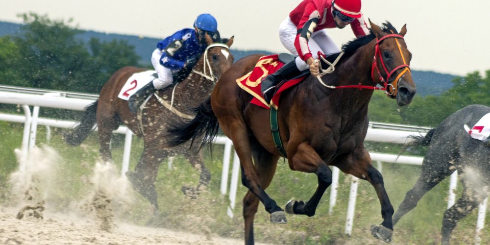 Tipos de Apuestas en Carreras de Caballos