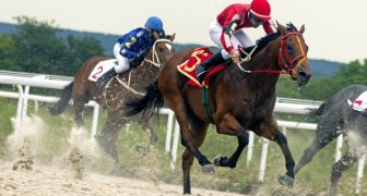 Tipos de Apuestas en Carreras de Caballos