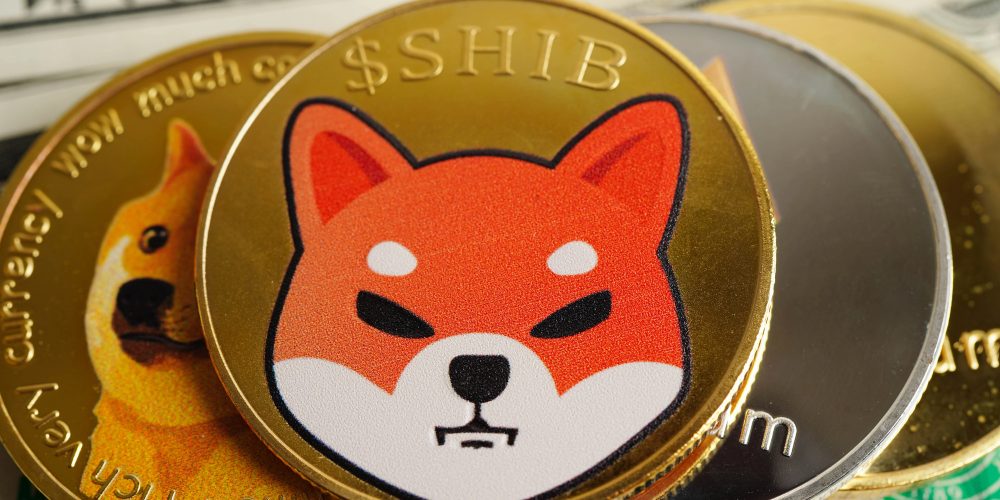 Tutorial sobre la criptomoneda Shiba Inu NotiActual