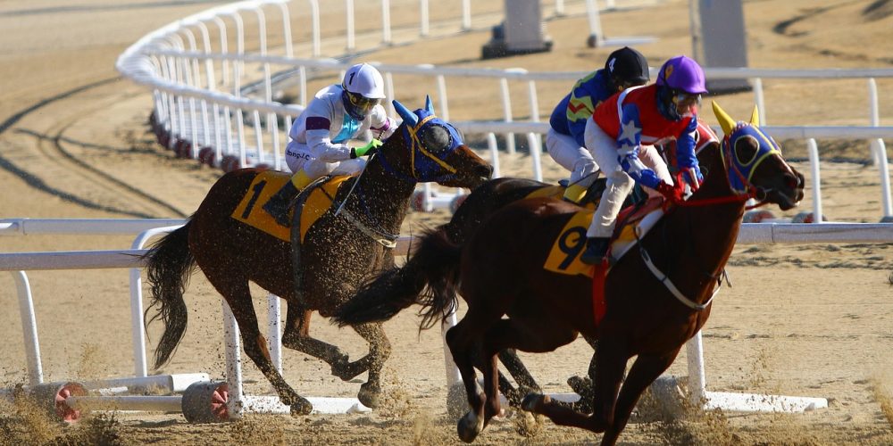 Apuestas Deportivas Carreras de Caballos Racing Horses