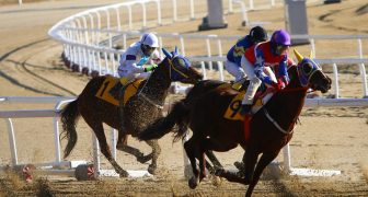 Apuestas Deportivas Carreras de Caballos Racing Horses