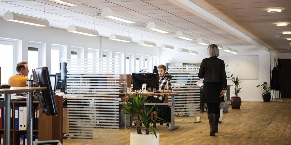 Cuáles son los tipos de Empresas más comunes en EEUU NotiActual