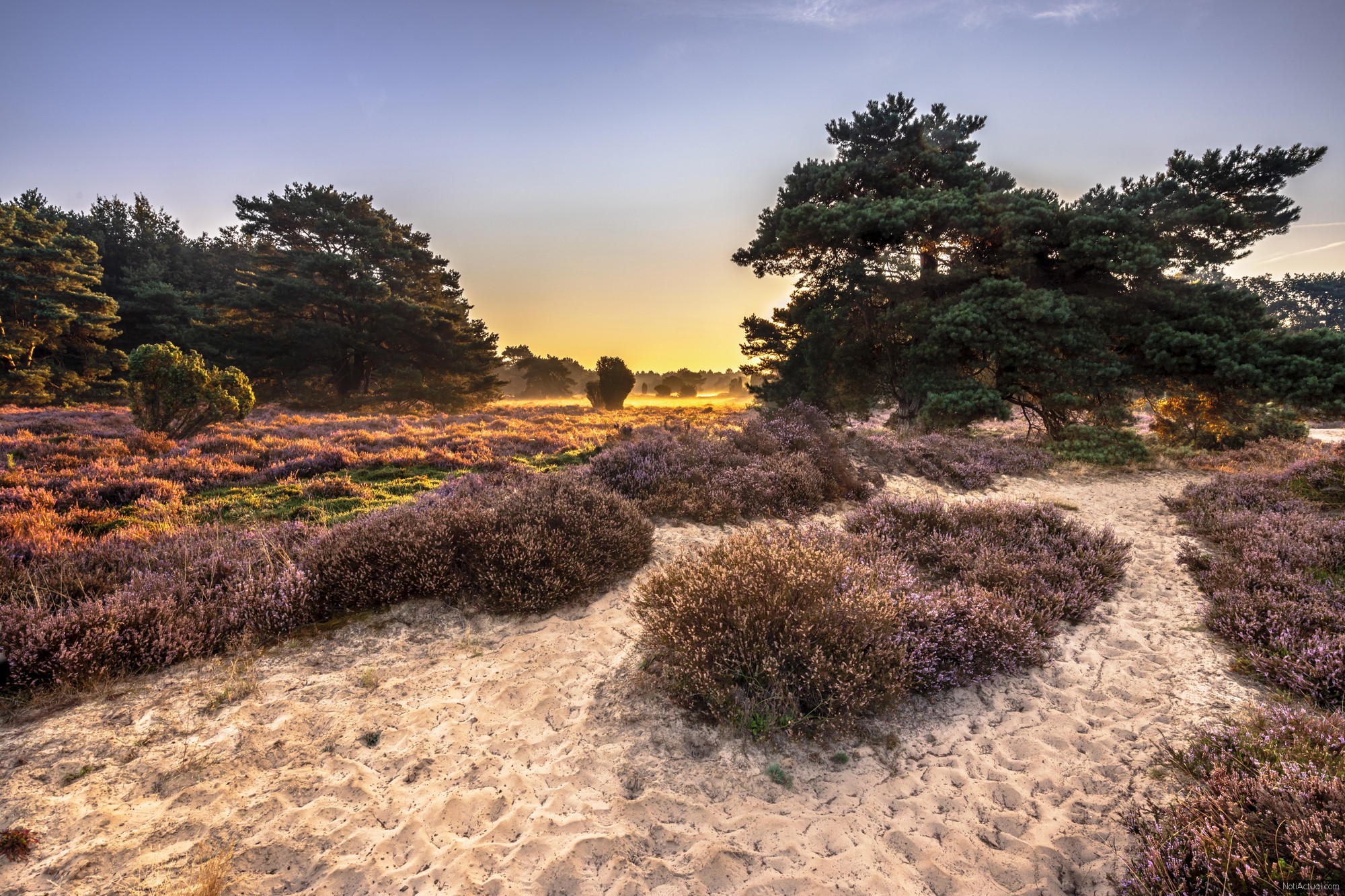 Descubre el Encanto Tranquilo de Drenthe en los Países Bajos