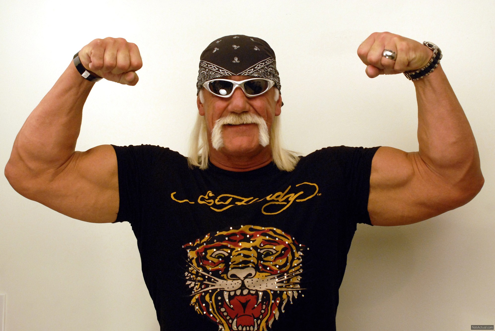 Hulk Hogan
