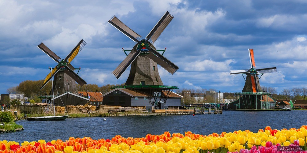 Curiosidades sobre Kinderdijk de Países Bajos