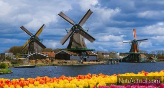 Curiosidades sobre Kinderdijk de Países Bajos