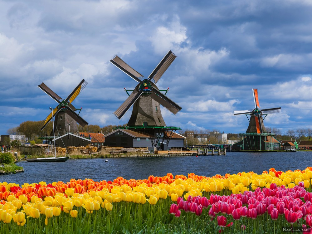 Curiosidades sobre Kinderdijk de Países Bajos
