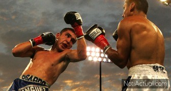 Boxeo