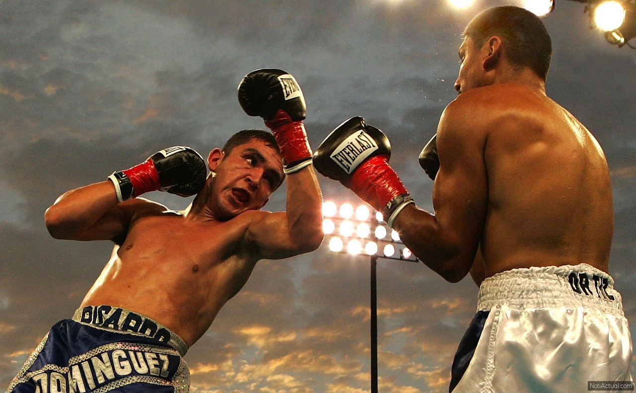 Boxeo