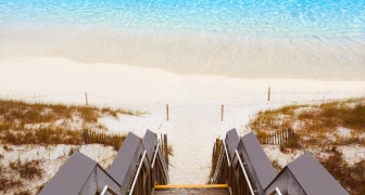 Henderson beach state park