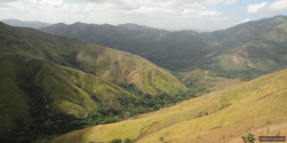 MapBiomas