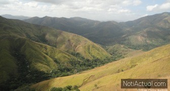 MapBiomas