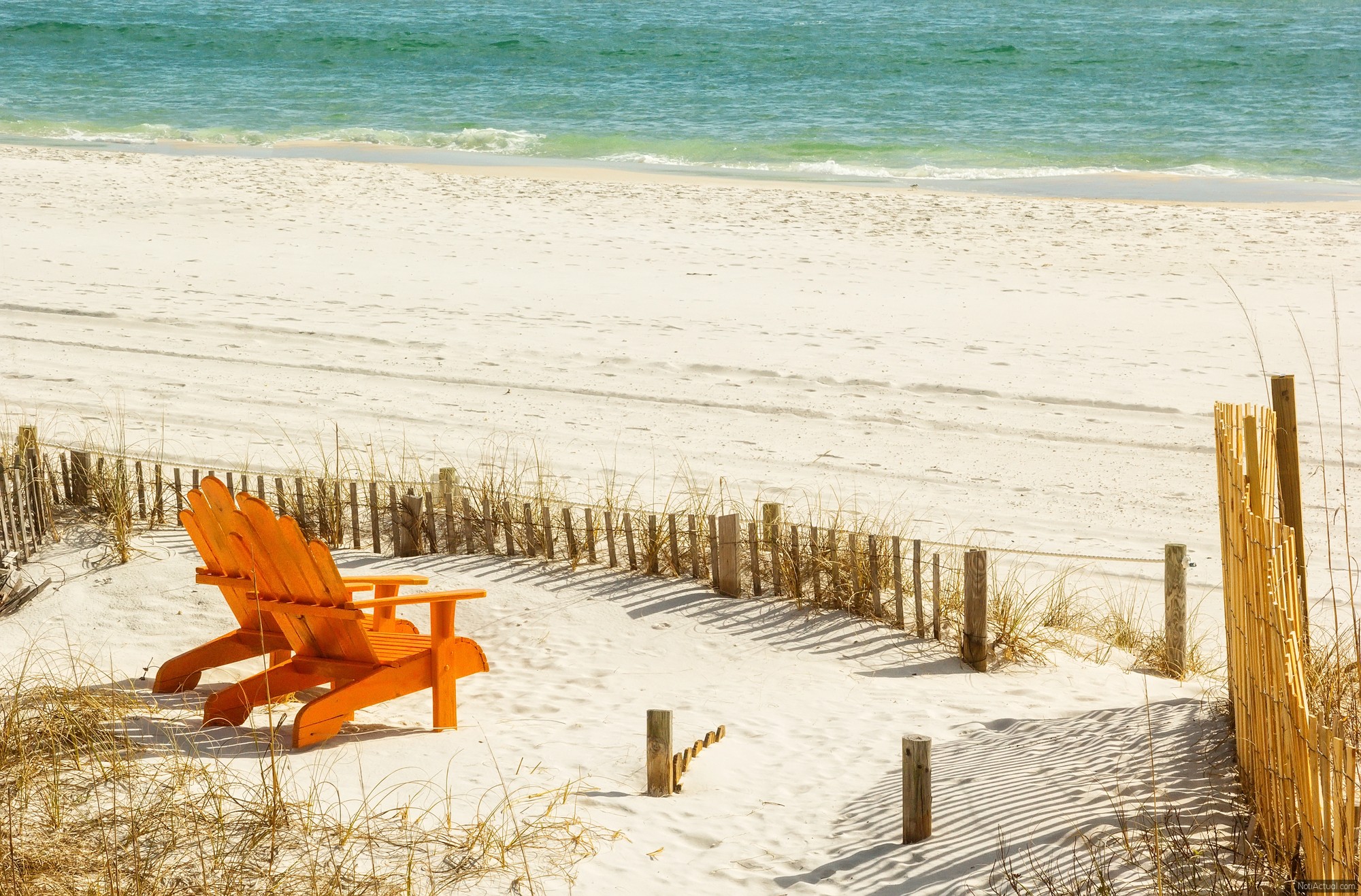 Qué se puede hacer en Panama City Beach