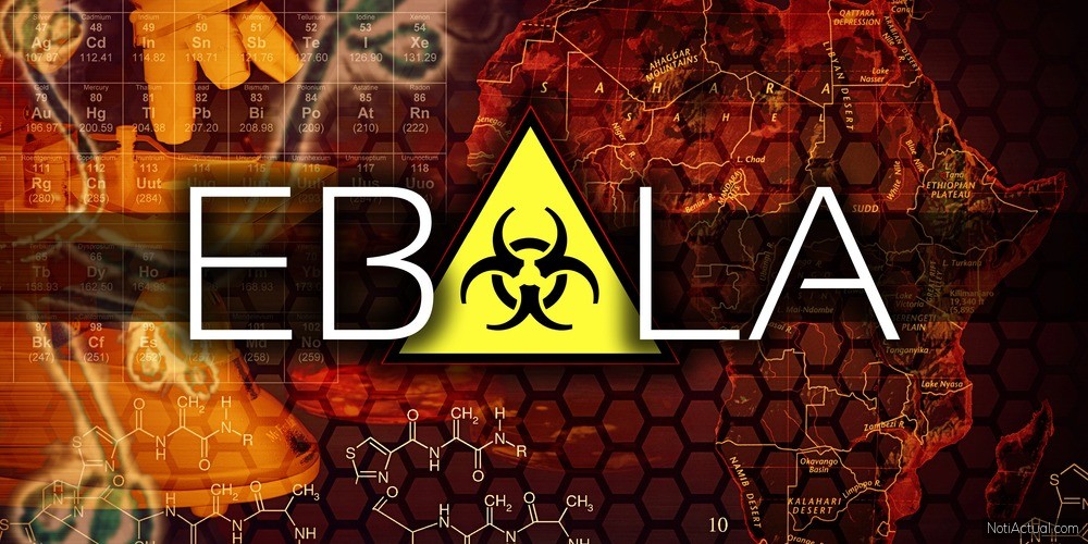 El origen del virus del Ébola