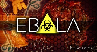 El origen del virus del Ébola