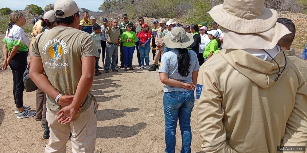 5184 nuevos árboles plantados en la Península de Macanao
