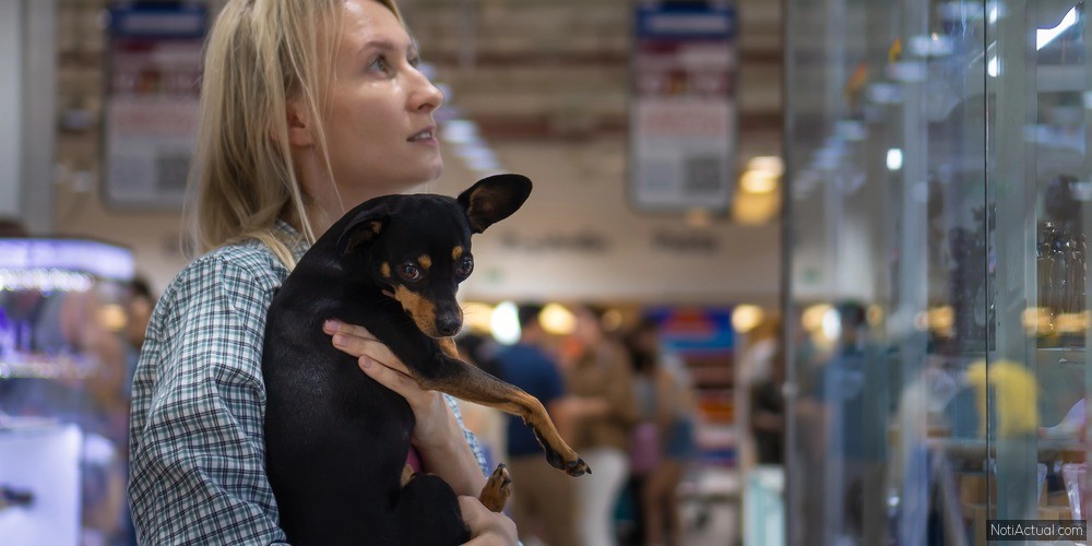 Centros Comerciales Pet Friendly en Maracaibo