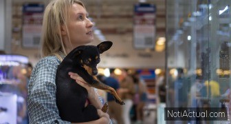 Centros Comerciales Pet Friendly en Maracaibo