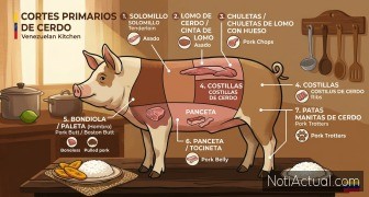 Cortes de Cerdo Guía de Uso y Recetas Recomendada