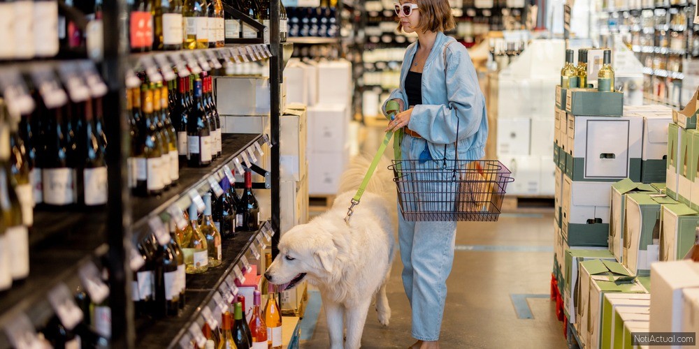 Supermercados Pet Friendly en Maracaibo